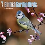 British Garden Birds 2015 Square 12x12 (Multilingual Edition) by