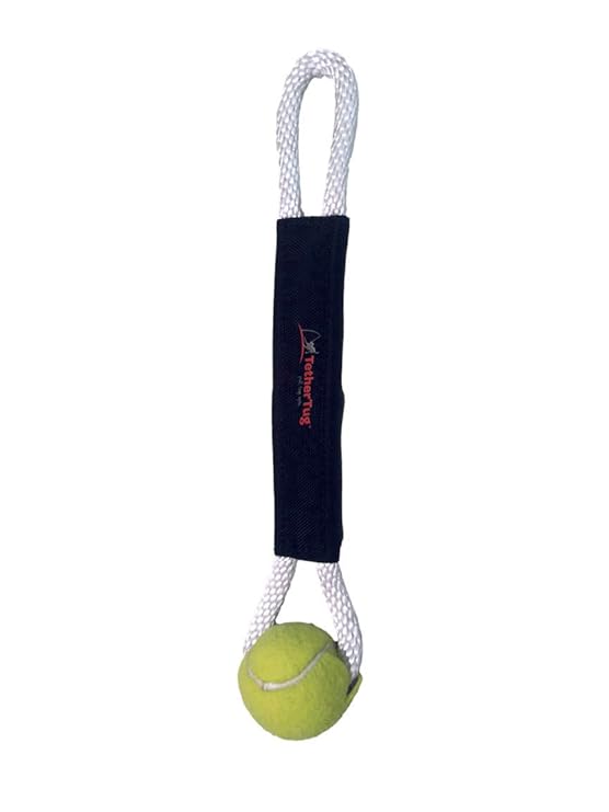 Pet Supplies Tether Tug Outside Dog Tug Toy for Medium Dogs (Under