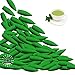AurAmbiance Backflow Incense Cones Extra Large 2 Scent Multipack: Sweet Jasmine & Green Tea Cone Incense, 140pcs