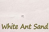 Ant Farm Refill Ant Sand: White: 2 1-Pound Bags