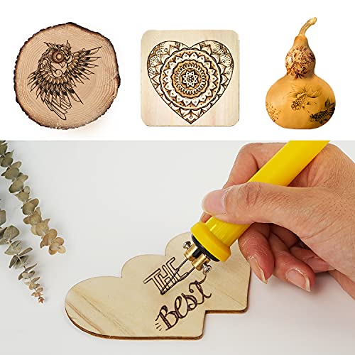 Wood Burning Kit Temperature Adjustable Pyrography Machine,Wood Burning