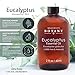 Brooklyn Botany Eucalyptus Essential Oil - 100% Pure & Natural - 2 oz With Dropper