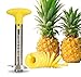 Pura Vida Stainless Steel Fruit Slicer Set - Pineapple Cutter and Corer, Watermelon Slicer Cutter, Melon Baller Scoop, Apple Corer Tool, Strawberry Huller Stem Remover - Creative Kitchen Slicing Kit