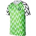 2018 New Season Nigeria Home Soccer Jersey National Jersey White/Green