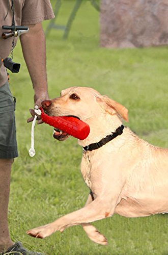 Dog Retriever Training Dummy Retrieving Bumpers Pool Toy