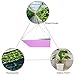 MAIICY Led Grow Lights Full Spectrum 45W 225 LEDs Grow Lights for Indoor Plants Seedling lamp.This Full-Spectrum Seedling lamp can Make Seeds germinate Within a Week.