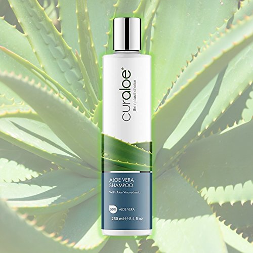 Aloe Vera Shampoo