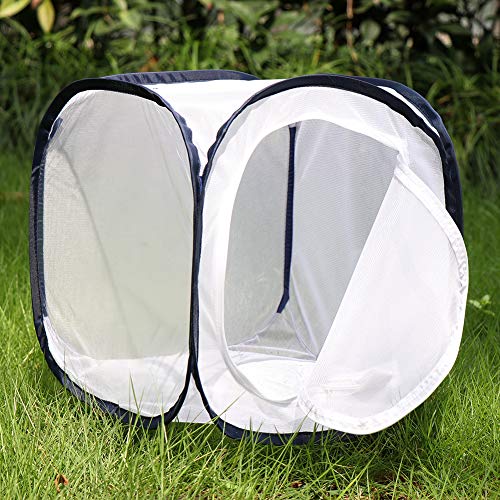 3 Insect+Butterfly+Habitat+Terrarium+Pop+up