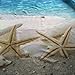 ABxinyoule Beach Starfish Shower Curtain Seashell Polyester Fabric Ocean Blue Sky Sunshine Bathroom Decal