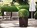 Lechuza 15395 Cube Cottage 50 Self-Watering Garden Planter for Indoor and Outdoor Use, 20
