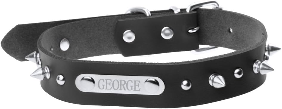 custom spiked dog collars