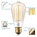 Vintage Edison Bulb KINGSO Dimmable 60W Edison Light Bulb Squirrel Cage Filament Incandescent Antique Light Bulb E27 E26 Base ST64 110V - 12 Pack
