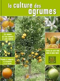 La  culture des agrumes