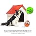 DADYPET Treat Ball, Interactive Dog Toys Treat Dispenser, IQ Ball Dog Puzzle Toys for Puppy, Small to Medium Cats, Dogs, and Pets