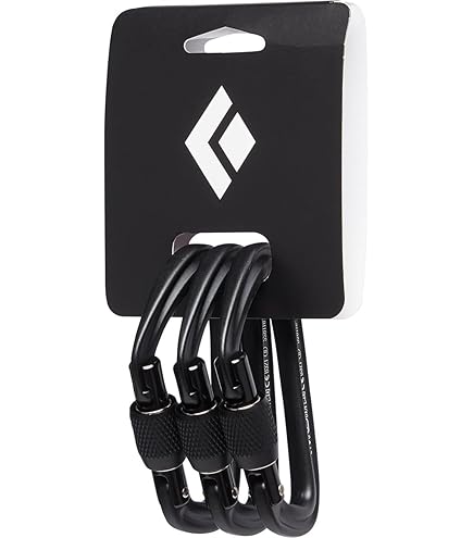 小物 L CARABINER (Blacknickel) 61p3p-8Es4L._AC_UF350,