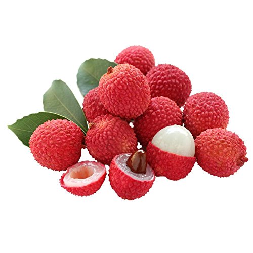 Taloyer 10pcs Fresh Lychee Litchi Seeds Sweet Delicious Bonsai Fruit Seeds