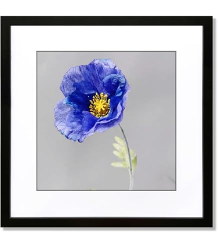 Craig Frames 7171610BKC2326AAC 0.825-Inch Wide Picture/Poster Frame In