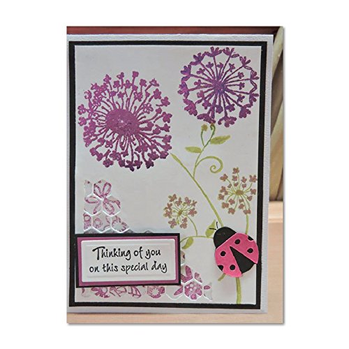 TTLIFE Scrapbooking Dies Metal Heart Flower border Cutting Dies Craft Embossing Stamps Stencils Paper Card Making