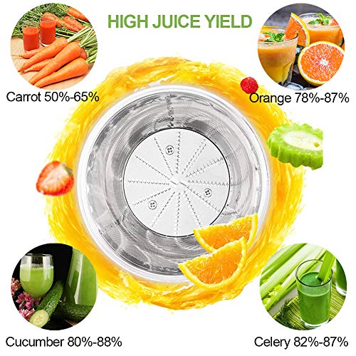 2 Hilax+Extractor+Spin+power+Stainless+Vegetable
