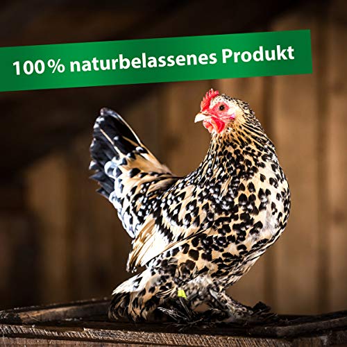 Röhnfried - Kieselgur PUR (600 g) - Naturreine Kieselerde in Pulver-Form - für ihren Hühnerstall, Kaninchenstall, Garten & Haus - gut bei Kaninchen, Hühnern & Geflügel einsetzbar – Bild 5