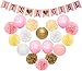 Baby Shower Decorations for Girl – Its A Girl Party Decor - Free Game Ideas & Checklist Ebook! - Plush Pink and Gold - Banner - Tissue Paper Pom Pom - Paper Lantern - Balloons - Party Ideas