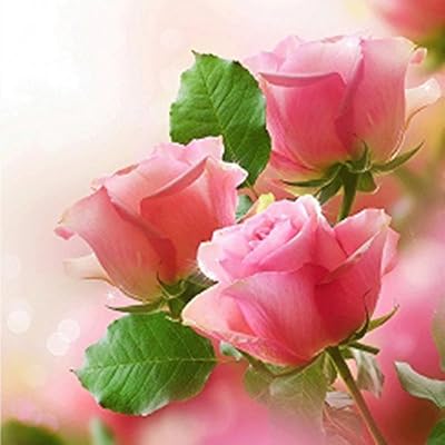 Diy 5d Diamond Painting By Number Kits Painting Cross Stitch Full Drill Crystal Rhinestone Embroidery Pictures Arts Craft For Home Wall Decor Gift Qg Mg10 16x16in