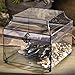 Glass Display Box Large Clear Case Wedding Card Decorative Keepsake Storage - J Devlin Box 600