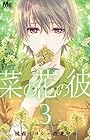 菜の花の彼 第3巻