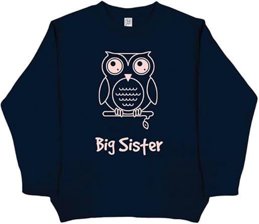 big sister sweatshirt