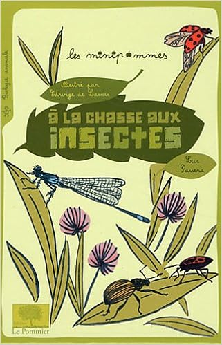 a-la-chasse-aux-insectes