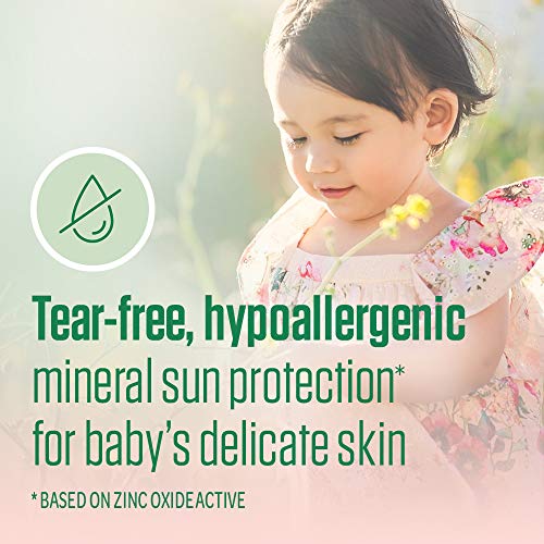 hypoallergenic | Pricepulse