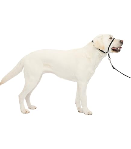 Collare Gentle Leader Per Cani Misura M - Beaphar, Rosso, Controllo Guinzaglio Senza Sforzo - Foto 6