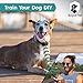 Royal Pet Dog Training Collar – Waterproof Dog shock collar with Remote – Long range 2400 ft, Light, Beep, Vibrate & Shock Training Modes. Ecollar for Small, Medium, & Large Dogs.