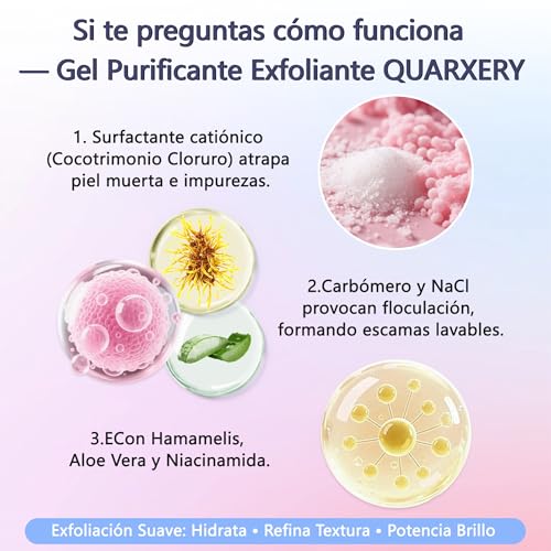 QUARXERY Gel Exfoliante Facial Limpiador con Nicotinamida - Gel Limpiador Facial Piel Grasa Exfoliante, Skin Care Purificante Profundo Reduce Poros para Piel Grasa, Seca y Mixta