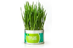 Aoun 2 PCS Organic Cat Grass Growing kit for Indoor Cats,Cat Grass Kit with Planter and Soil and Seeds,Great for Indoor or Ou