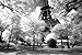 Afternoon in Paris (Eiffel Tower, B/W) Art Poster Print - 24x36 Collections Poster Print, 36x24 Travel Poster Print, 36x24