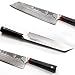 TUO Damascus Kiritsuke Chef knife 8.5 inch - Japanese Damascus AUS-10 67-layers - Dragon Pattern - Dishwasher Proof G10 Handle - Ring-D Series