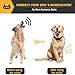 Petrainer Dog Bark Collar PET856 Waterproof No Bark Collar for Dogs with Beep Vibration and No Harm Dog Shock Collar Smart Detection Anti Bark Collars for Small Medium Large Dogs