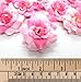 (24) Silk Two-tone Light Pink Roses Flower Head - 1.75