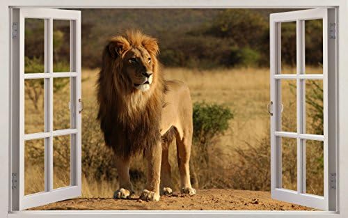 Africa themed South Africa Wall sticker Vinyl wall art for cars bikes caravans homes Customise4UTM (lion window) by Customise4u WallArt