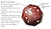 Jet New Red Jasper Orgone Vastu Plate Free Booklet jet International Crystal Therapy Energy Generator Crystal Gemstones Unique Rare IMAGE IS JUST A REFERENCE.