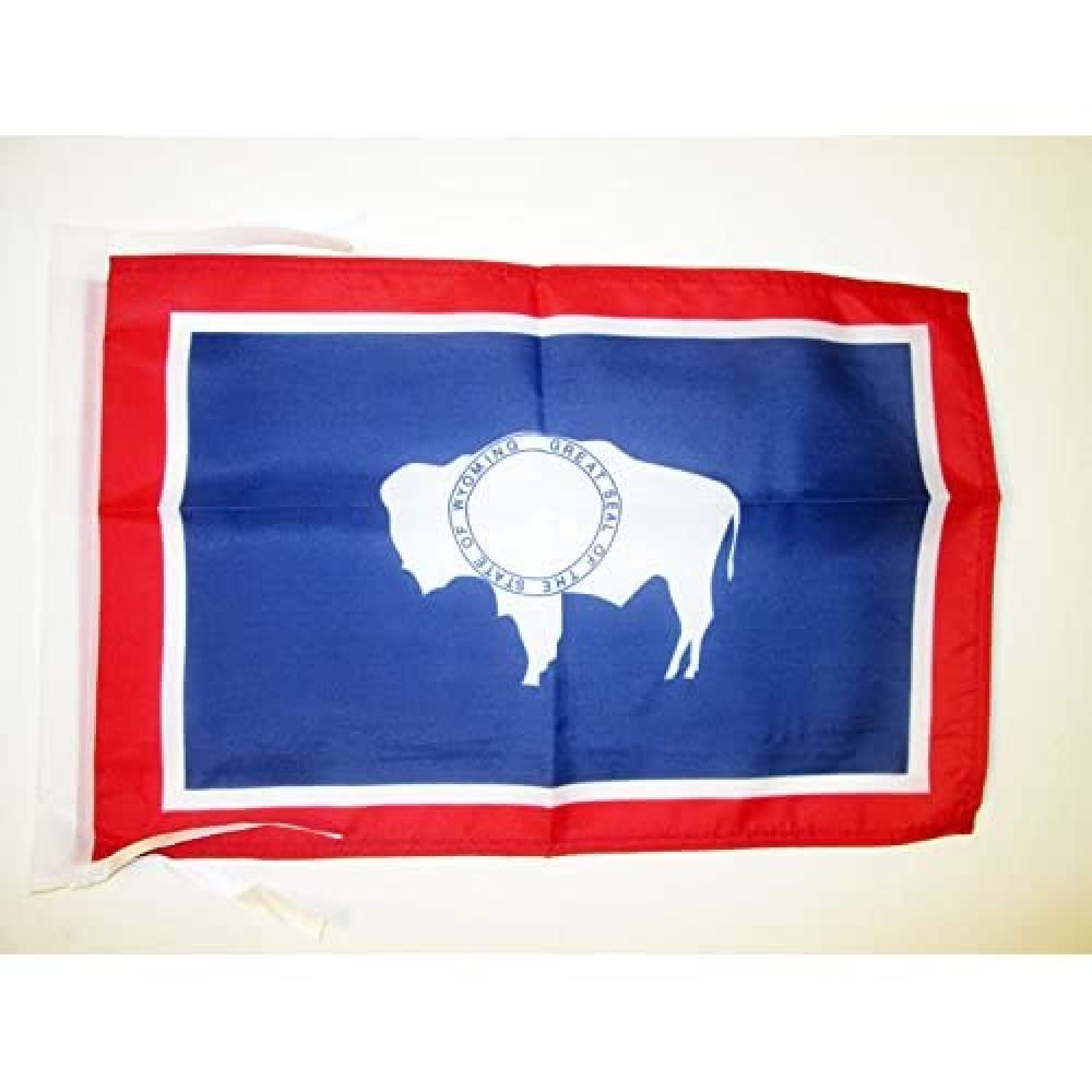 AZ FLAG - Wyoming Flag - 18'' x 12'' - 100% Polyester US state of Wyoming Small Banner with Two Cords - Fade Resistant - Vivid Colors - 18x12 in - 45x30 Cm โ image 1