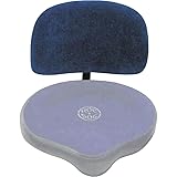 ROC-N-SOC Back Rest for Spindle and Nitro Rider