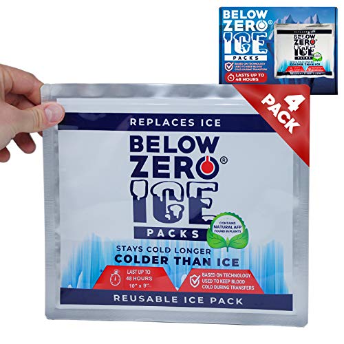 Below Zero Large Size Reusable Ice Packs for Large Coolers and Lunch