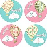Little LillyBug Designs - Monthly Baby Stickers - Hot Air Balloons