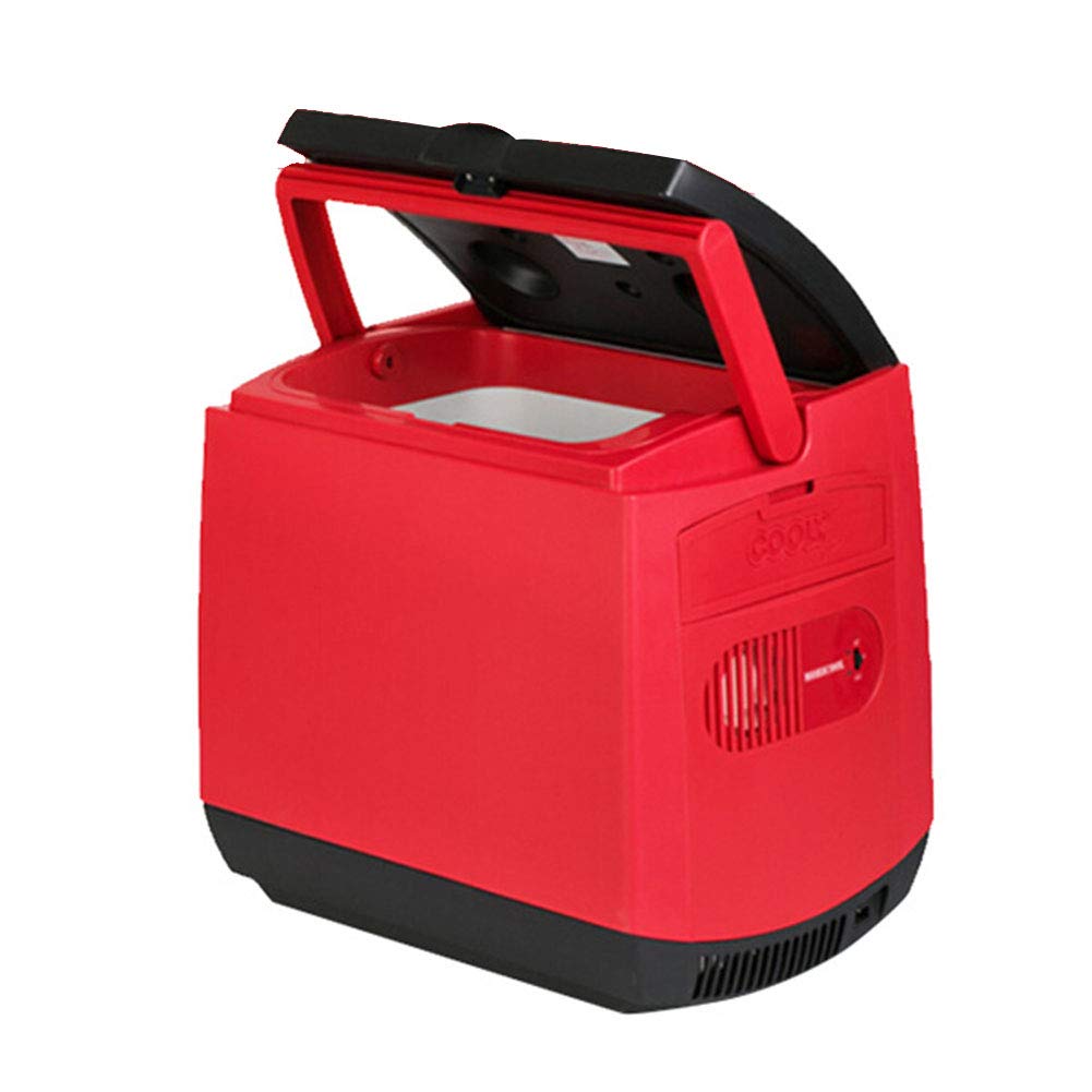 HM&DX Coche Mini frigorífico Refrigerador y Calentador ...