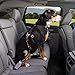 Kurgo Direct to Seatbelt Swivel Tether - Easy-Use Dog Car Harness Clip - Adjustable Ride Strap - Universal Fit for Most Vehicles - All Steel Hardware - Backseat Restraint - Orange