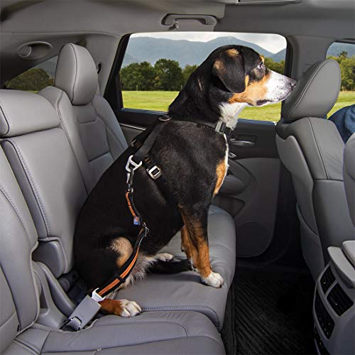 Kurgo Direct to seat belt Tether for Dogs, Car seat belt for Pets
