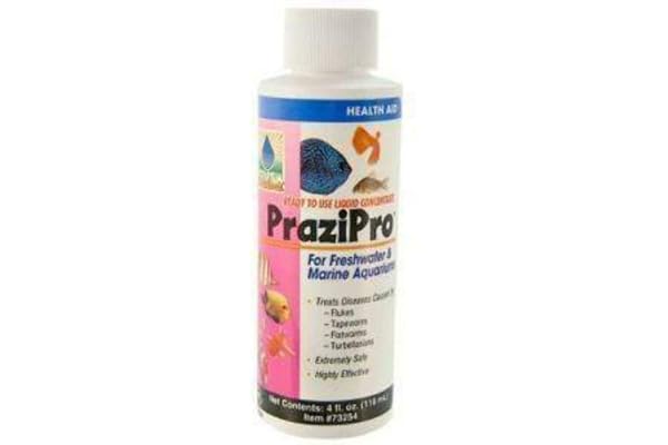 prazipro amazon