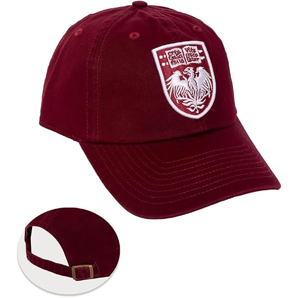 Desert Cactus CWU Wildcats Baseball Hat - Adjustable Cotton Cap With Pigment Dyed Wash, Embroidered Logo, Cool-Crown Mesh, Leather Strap - View #8